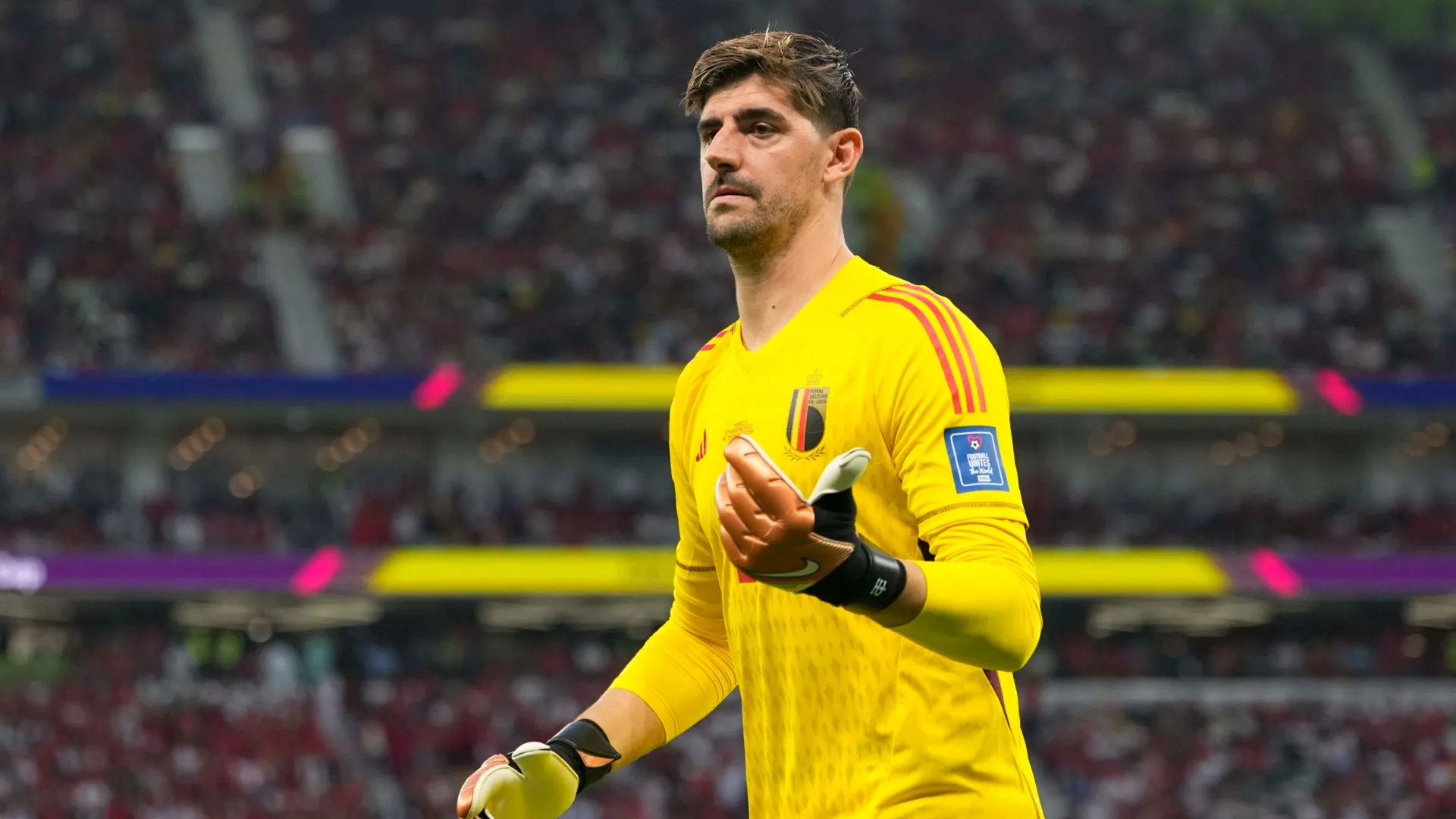 courtois_1uyqc4jg3btku1xotvtd26mv52.jpg