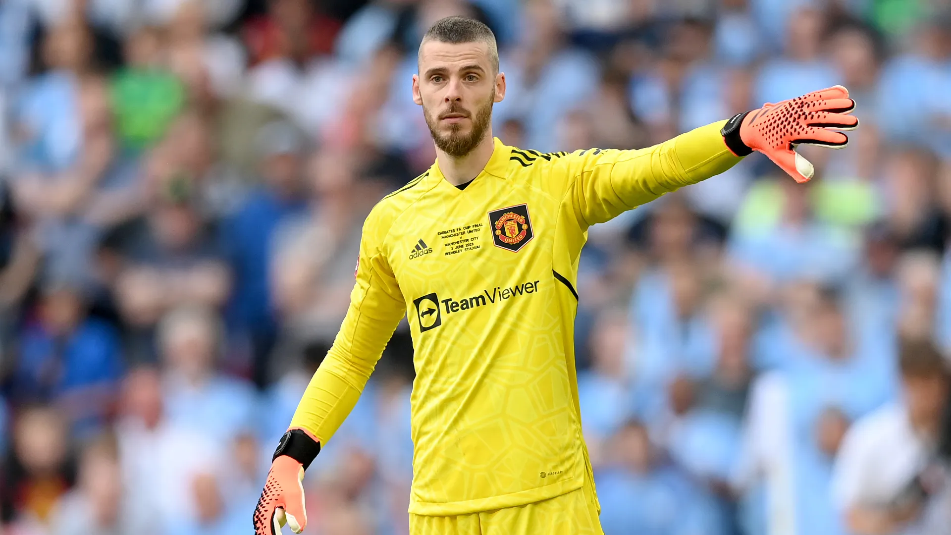david-de-gea_xegrymj6zqk21s35iwzku8jze.jpg