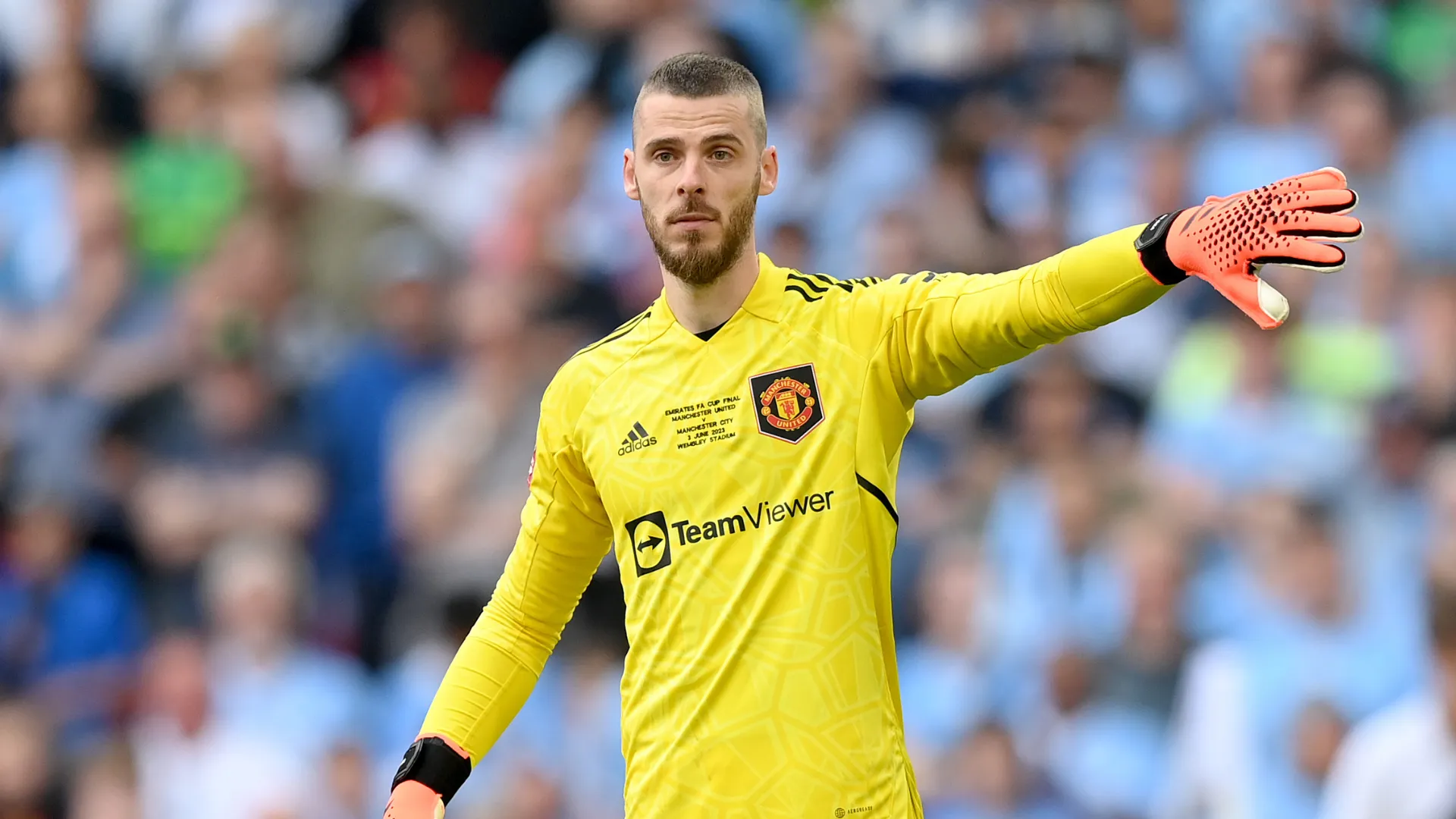 de-gea.png