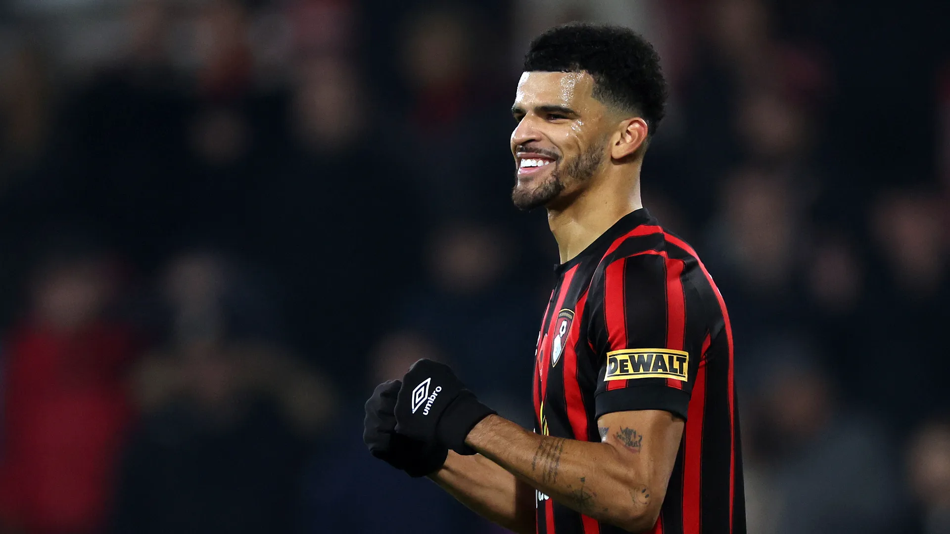 dominic-solanke_ldpvz0cr9me013o695anrhmo2.jpg
