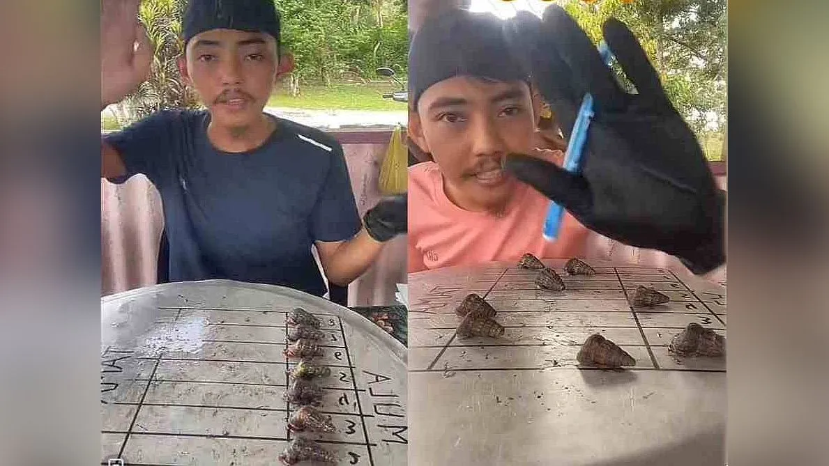 lumba-siput-sedut.jpg