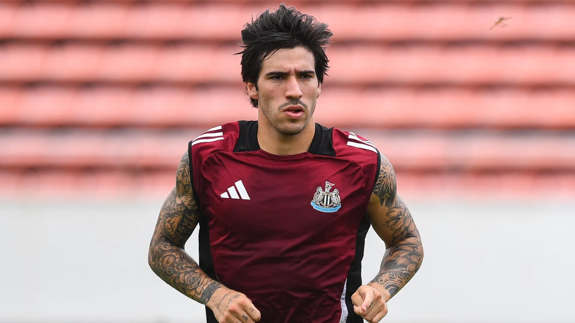 sandro-tonali_1eowtr525cdez1we1zocsmstca.jpg