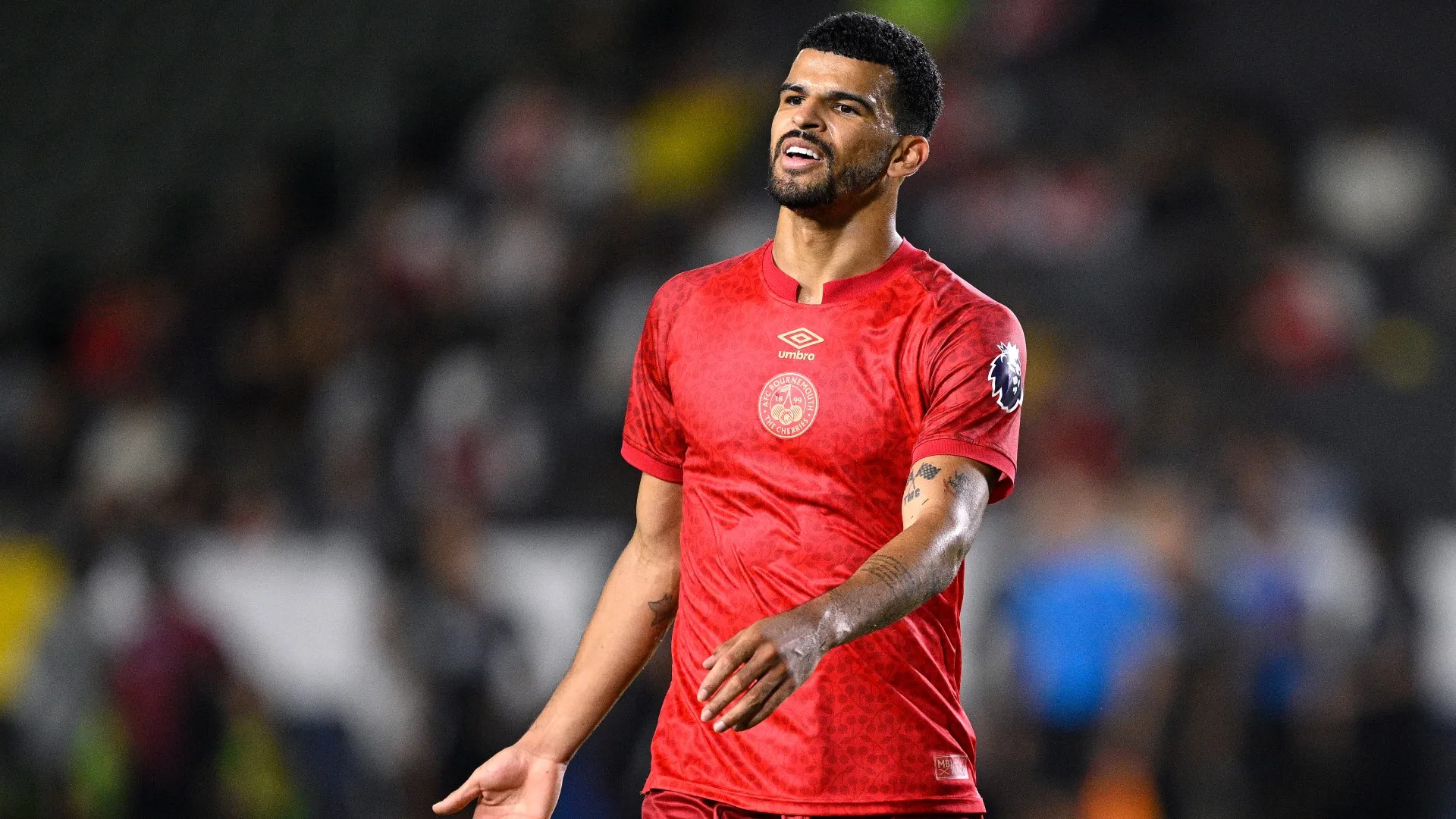 solanke_145akqt5rbl171w81hzgk1hbfj.jpg