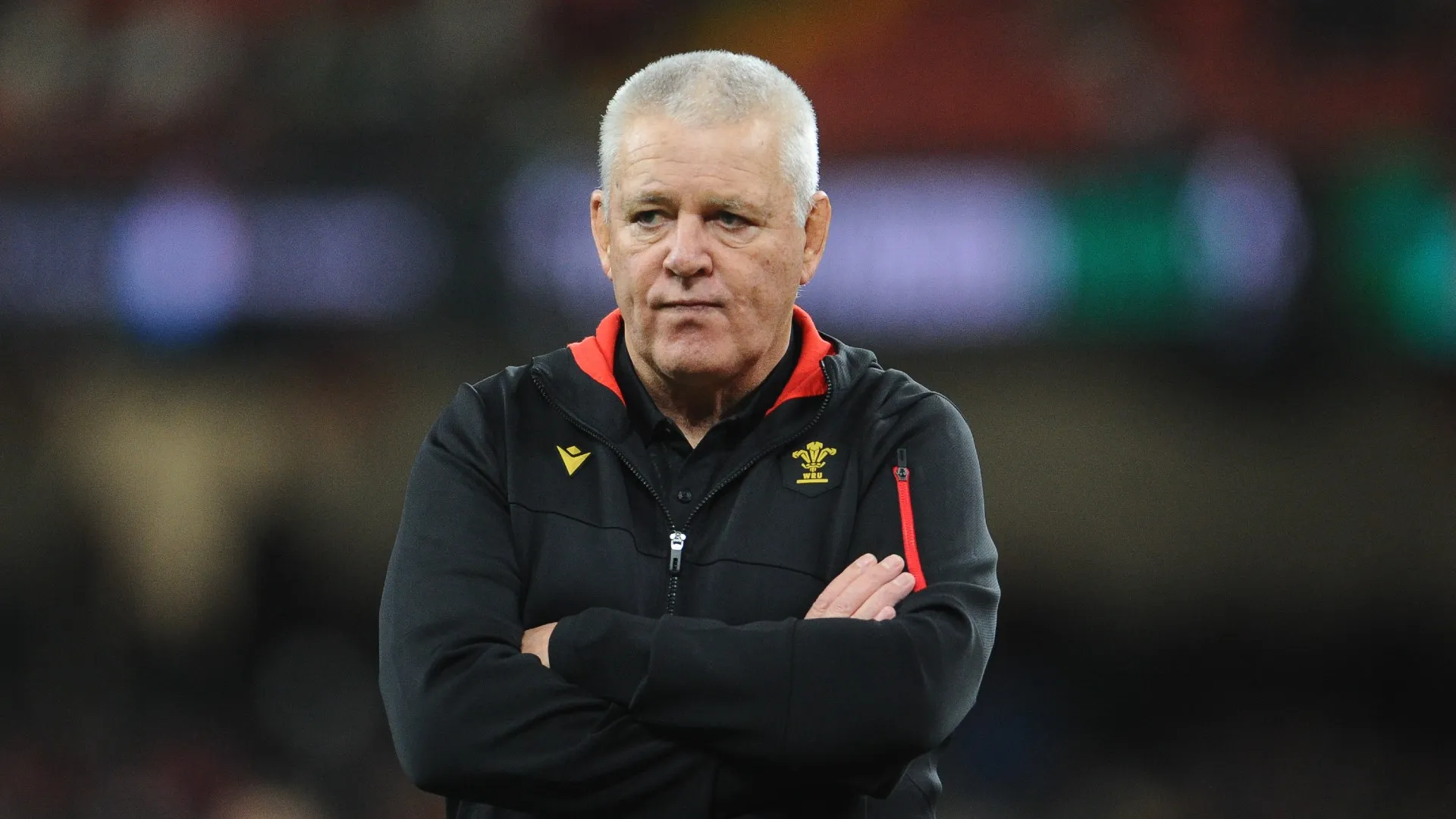 gatland_3c0g5qmzfwps1mga9ew5i8t8j.jpg