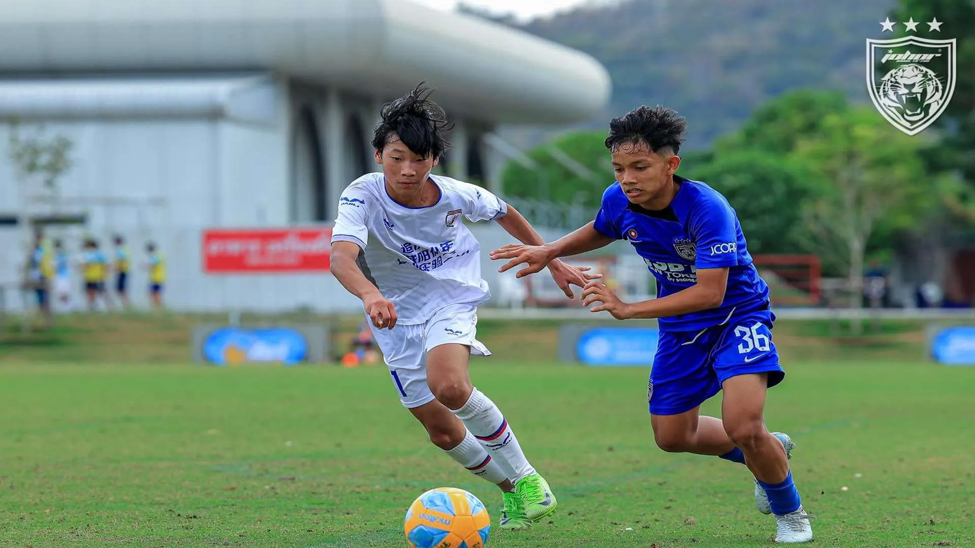 jdt-b-13.jpg