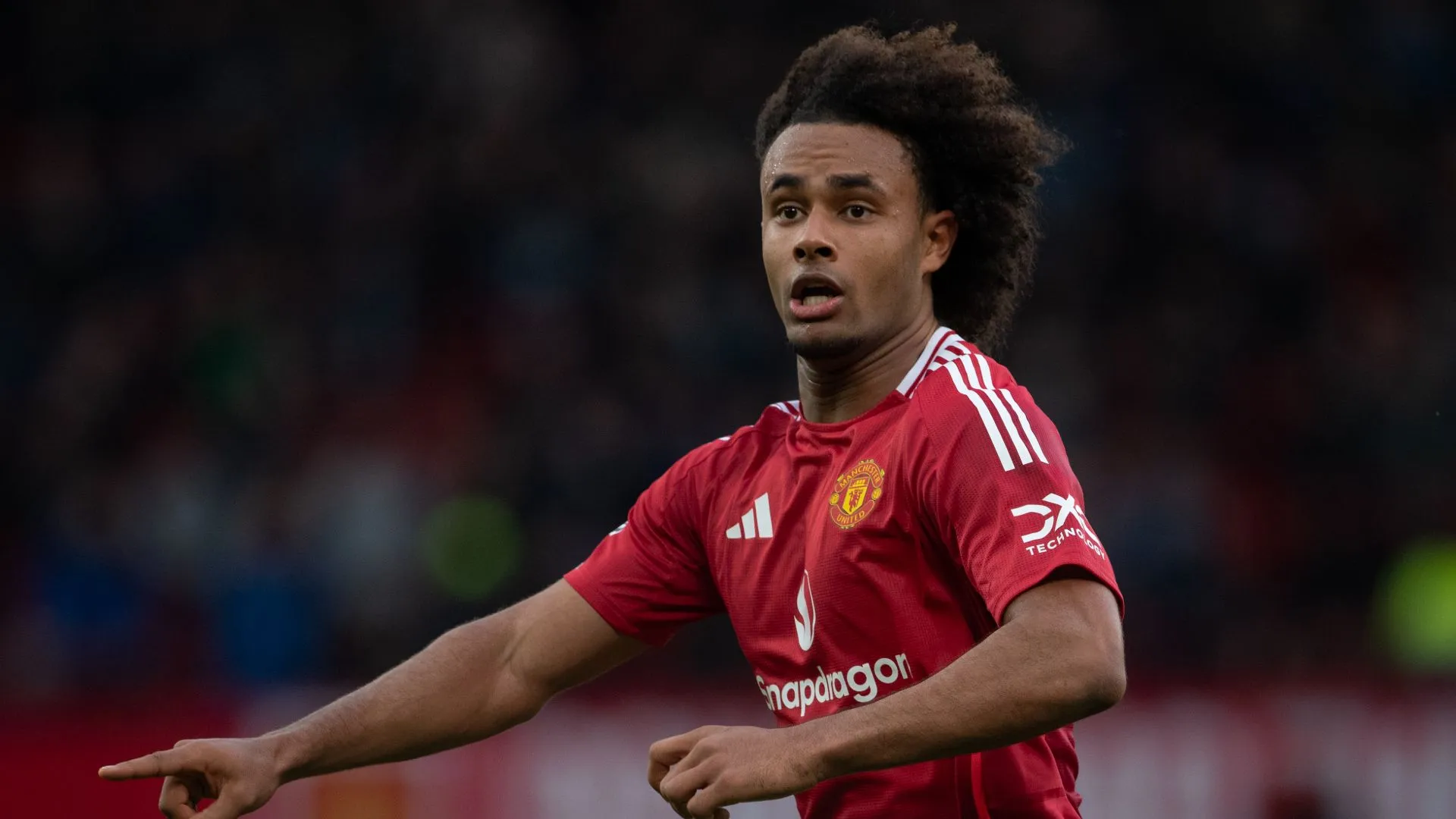 joshua-zirkzee_oe8zuyx3bd8q1i6z4cc5crlr7.jpg