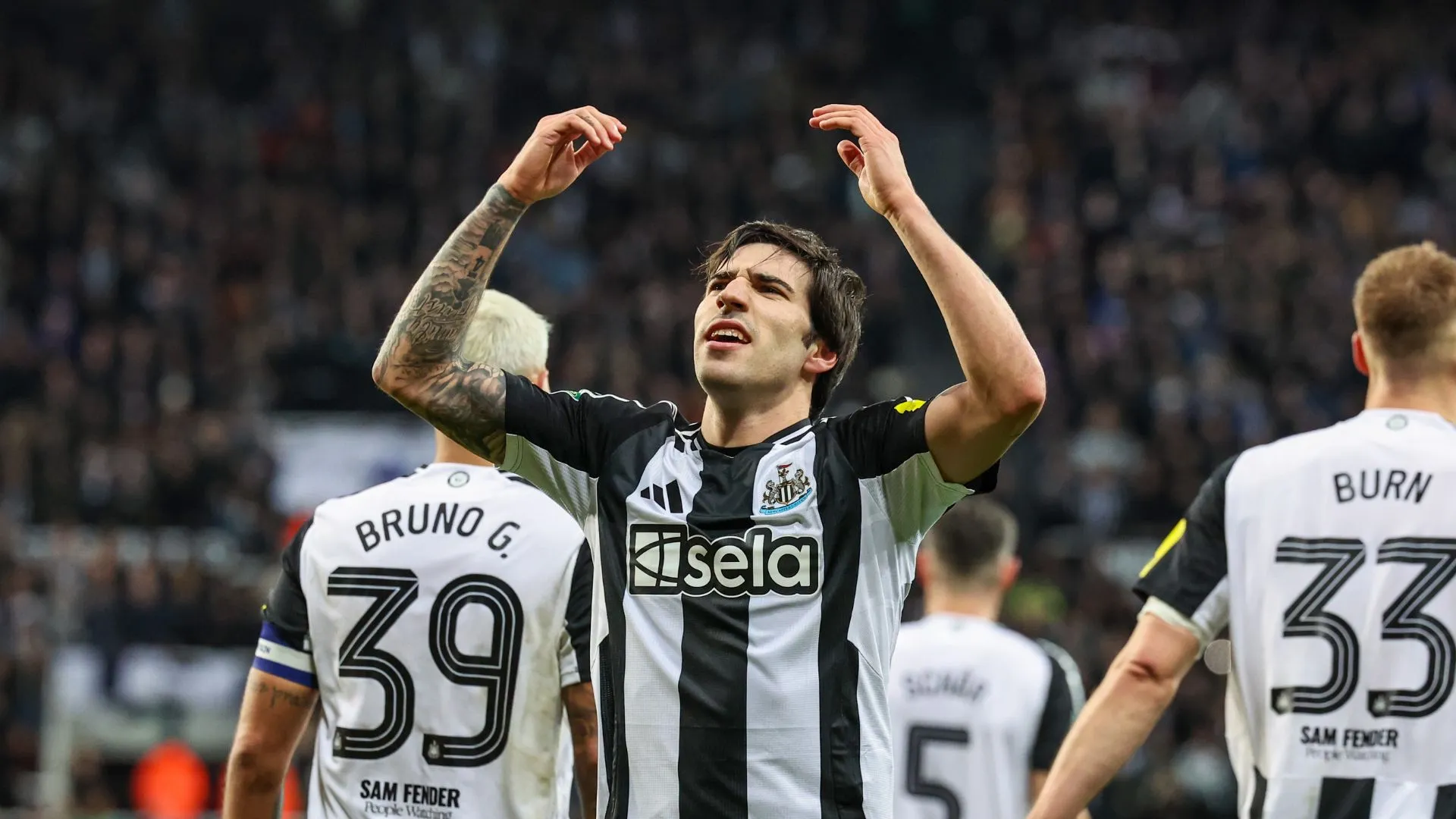 sandro-tonali_nr4j3igo2uzp17aw37s4v3xni.jpg