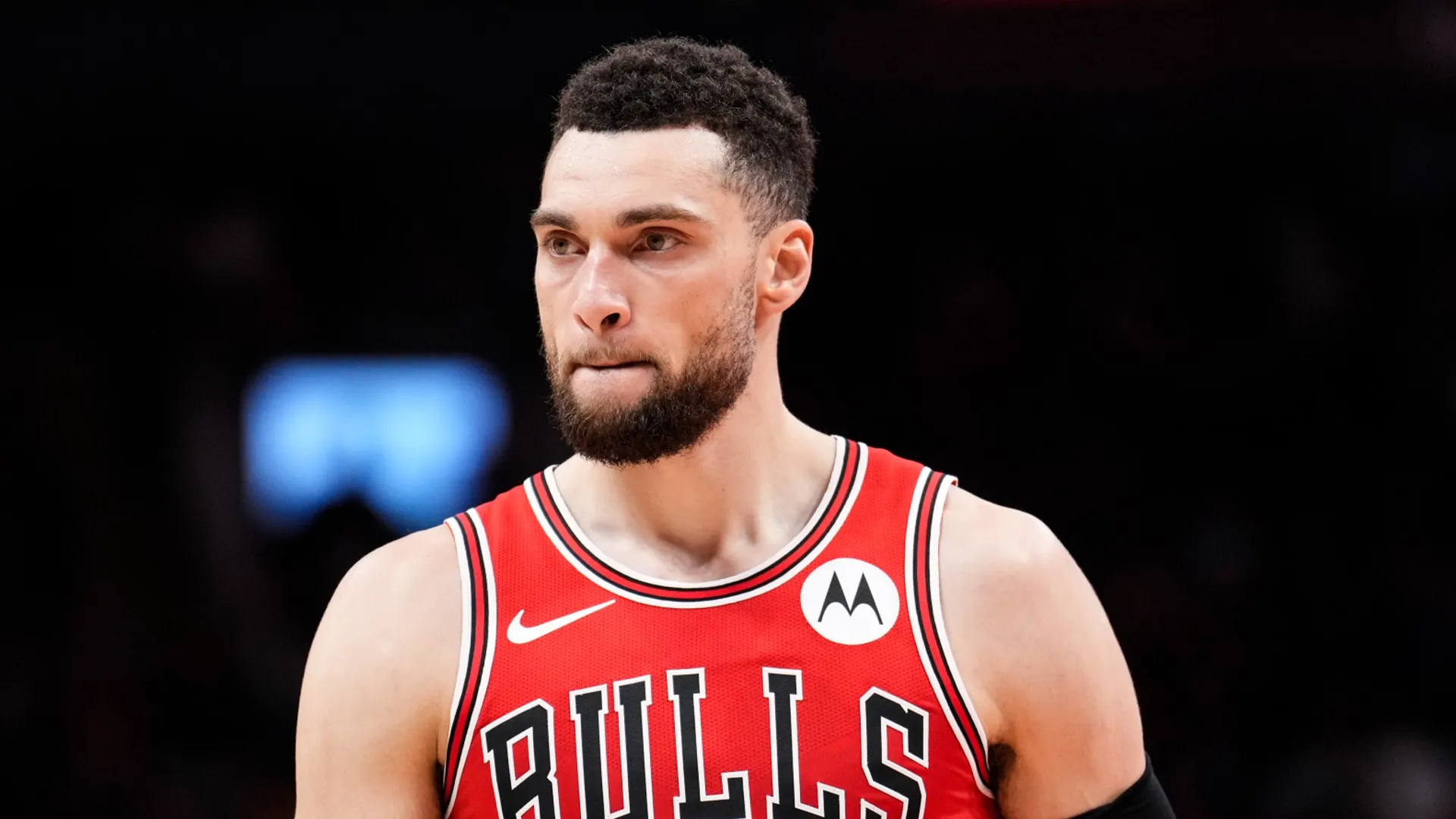 lavine_1jyxu6nrrbayz1mx9k7qfcrvv8.jpg