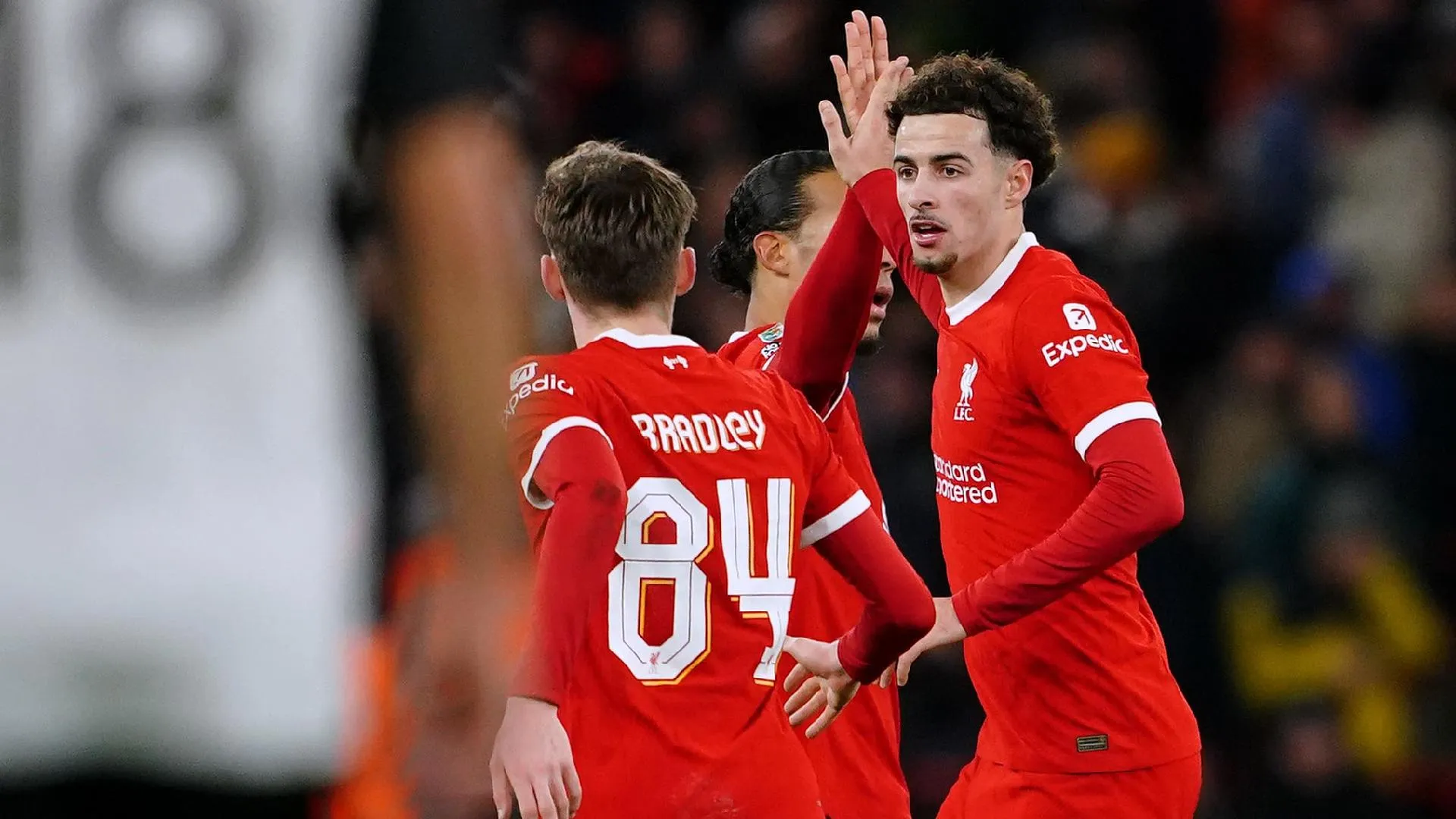 gakpo-liverpool.jpg