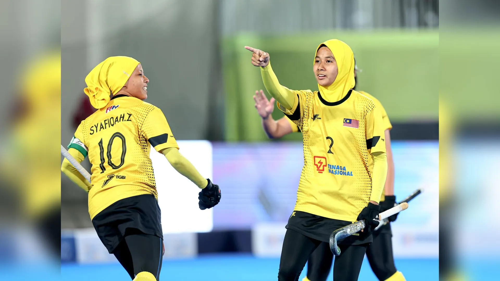 hoki-5s.jpg