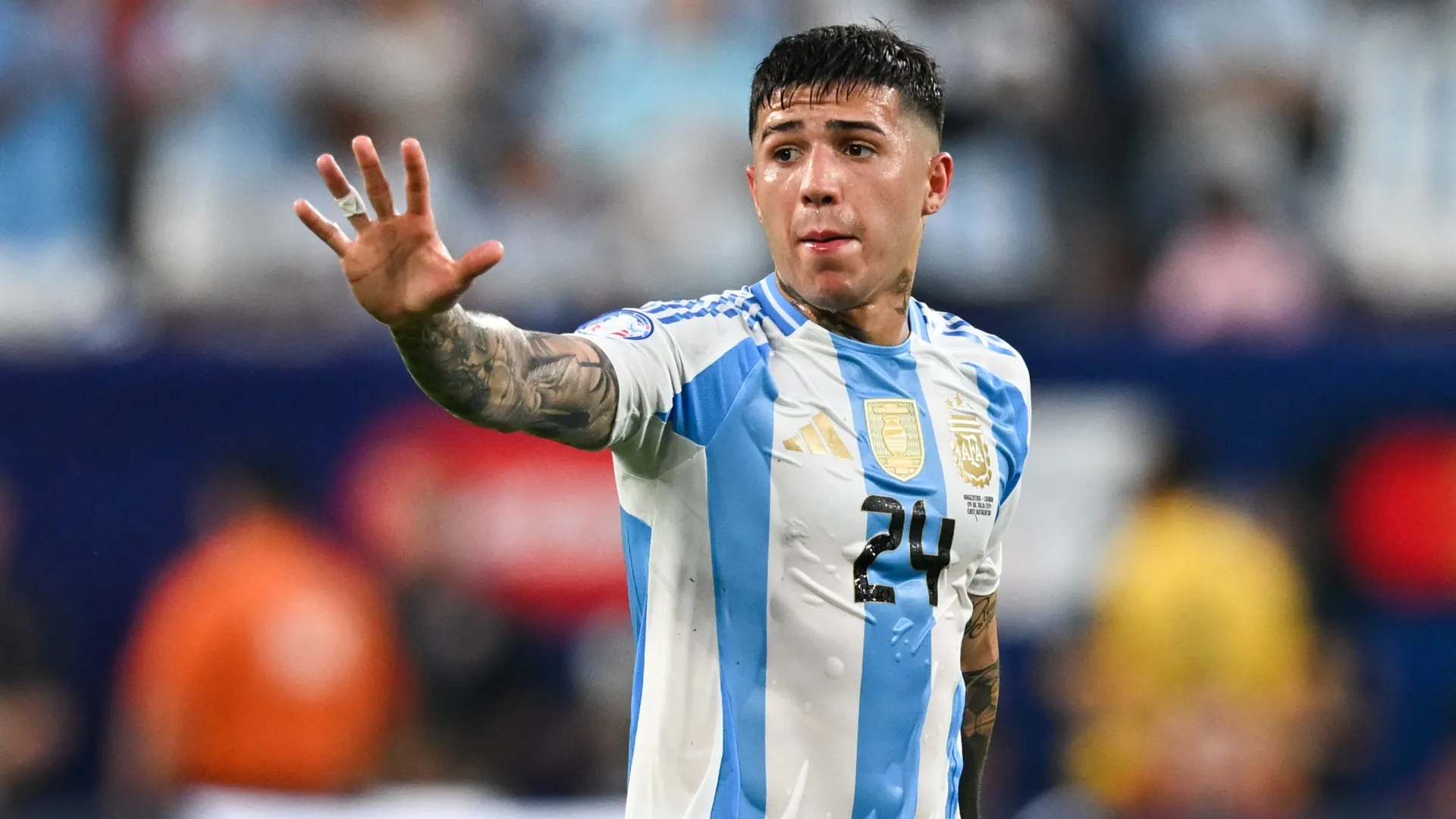 fernandez_cbktxgja2urq14gdjhkve3pzw.jpg
