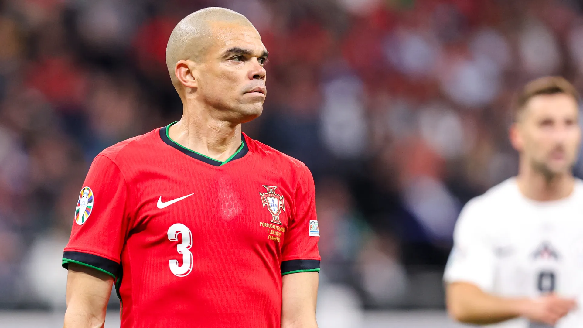 pepe_1i0nf4de0olz11e0k96k5a7ysv.jpg