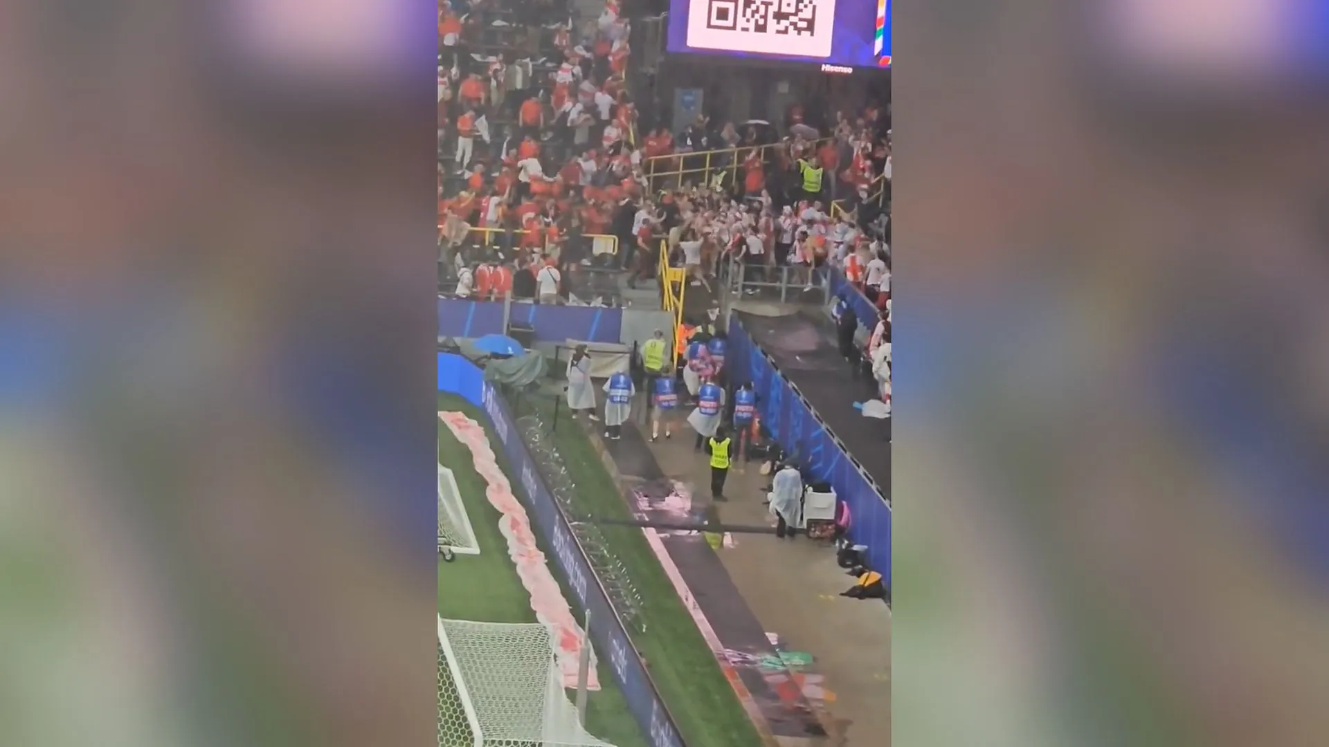 fans.jpg