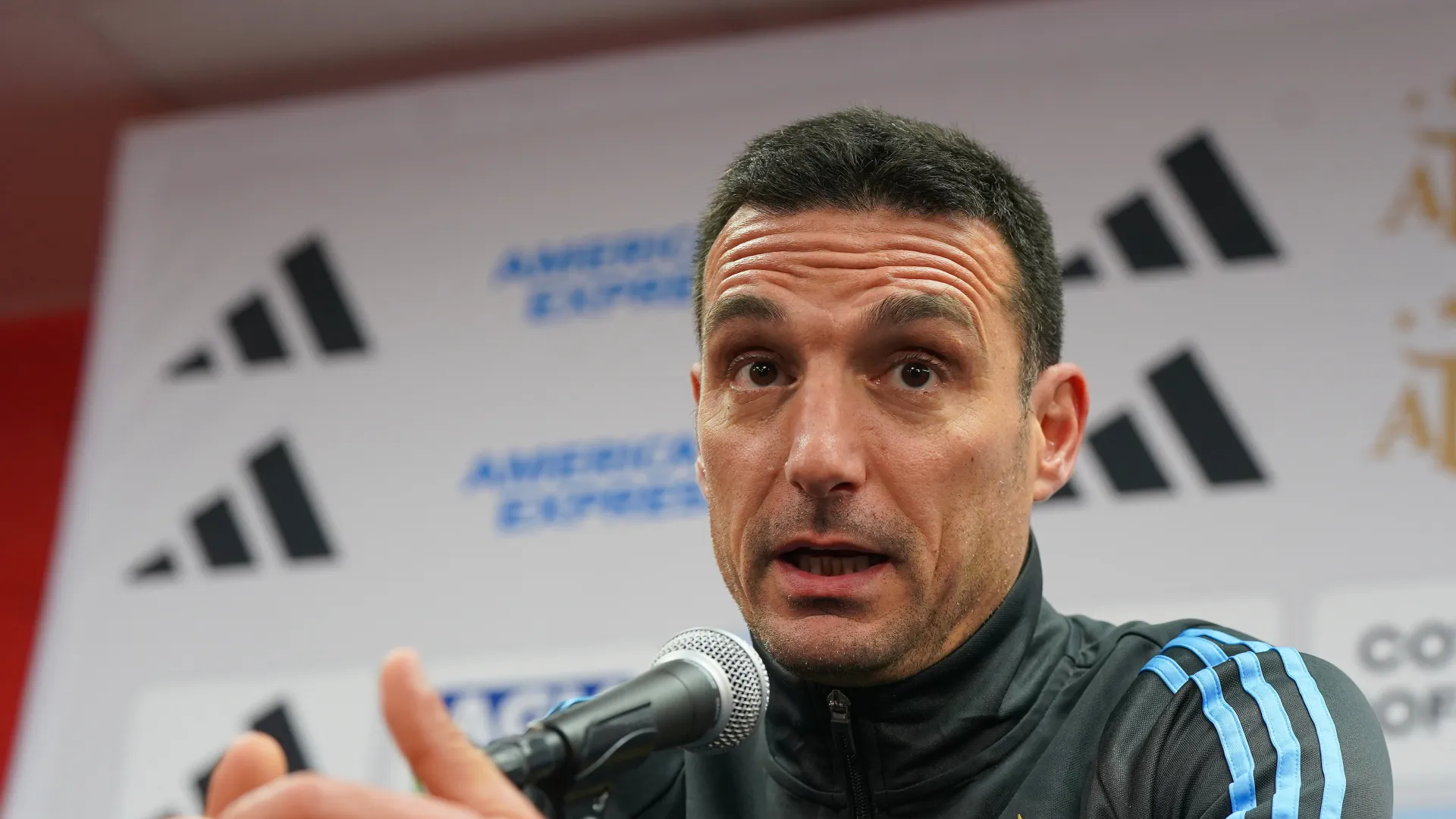lionel-scaloni_1l69n2mxyobod1st0xd7jcftbu.jpg