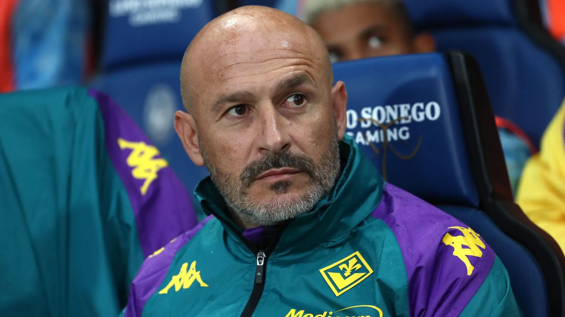 vincenzo-italiano_1ig9t4axlt56e1rgetb2g8kehv.jpg