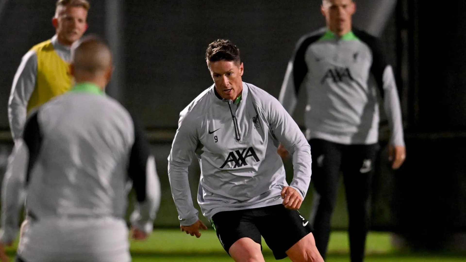 fernando-torres.jpg