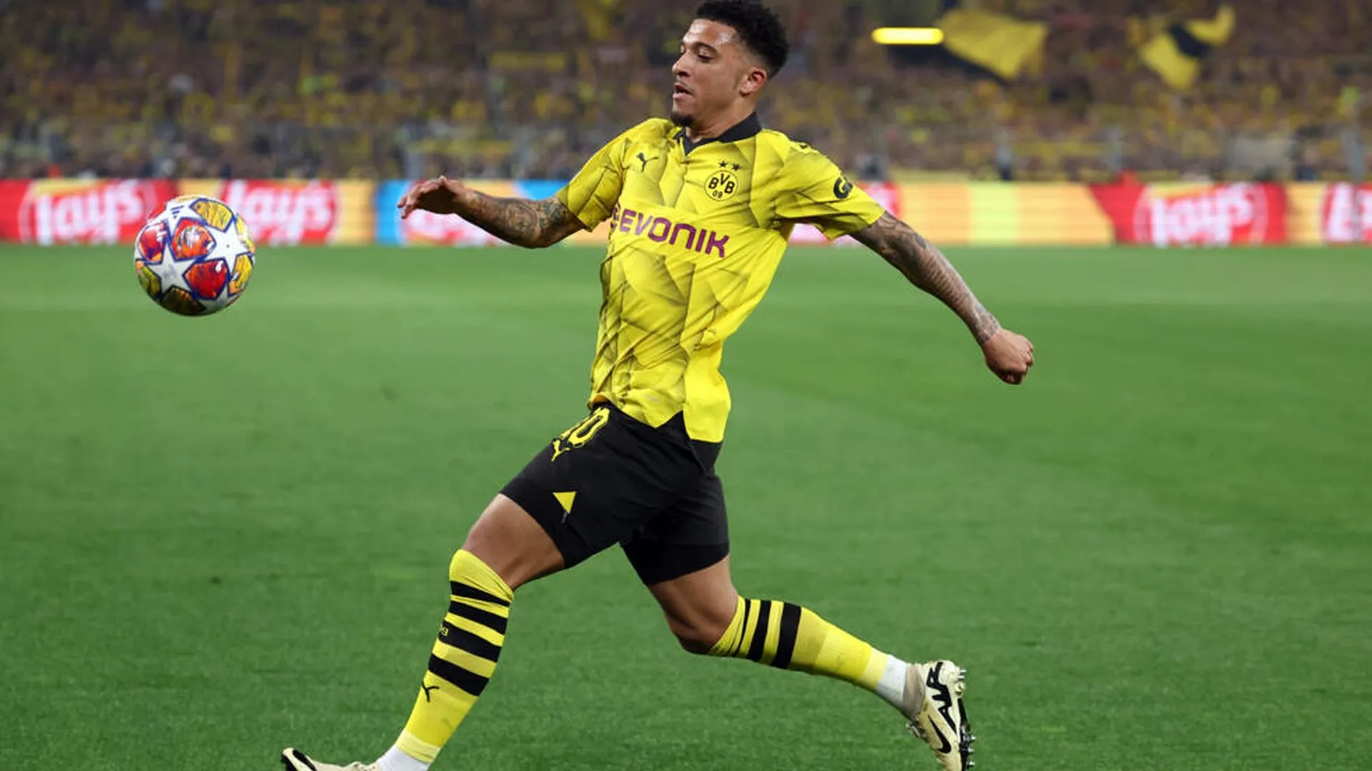 sancho.jpg