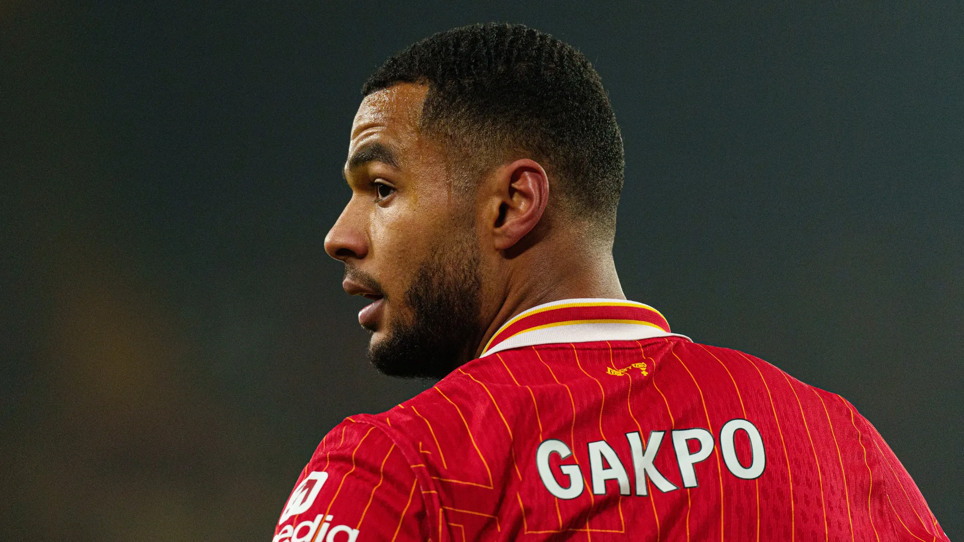 cody-gakpo_1xm57p808yddn1ugmimfsk0fpt.png