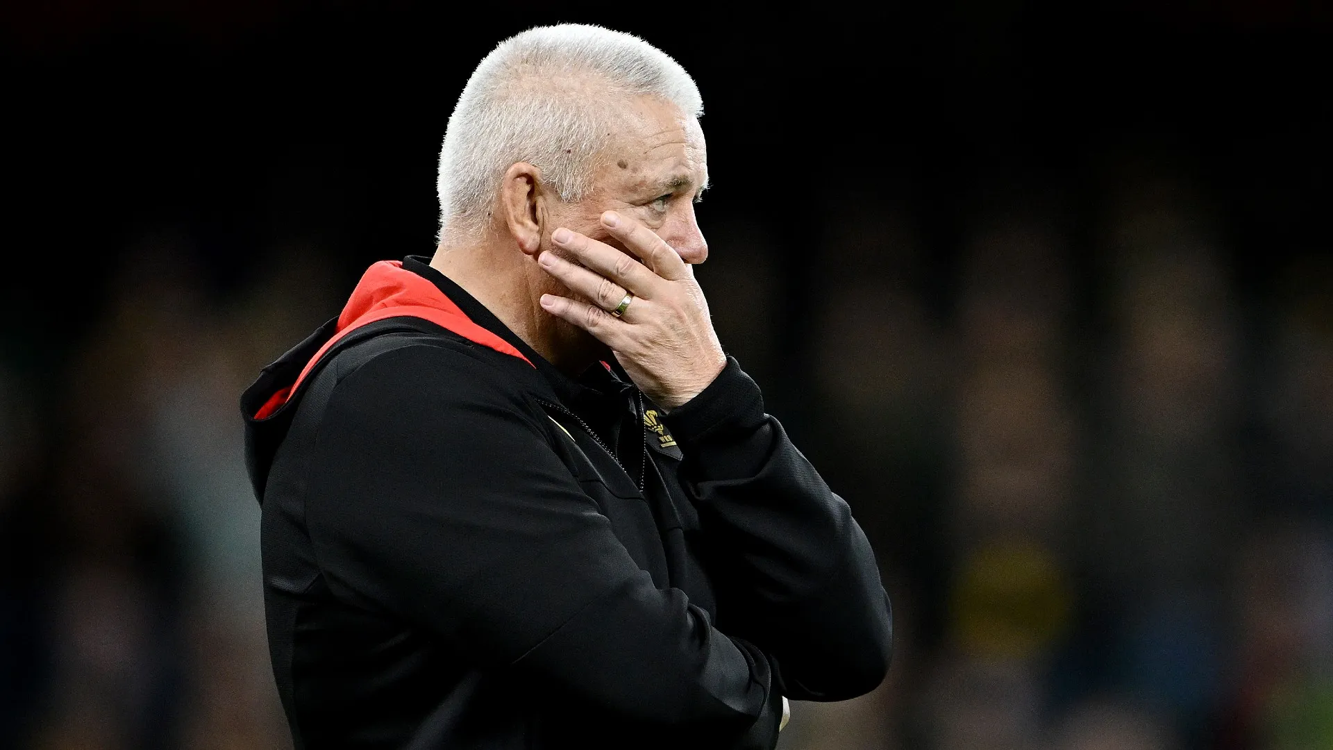 gatland_137v27lyh83zh1jtm2qn5wgbdo.jpg