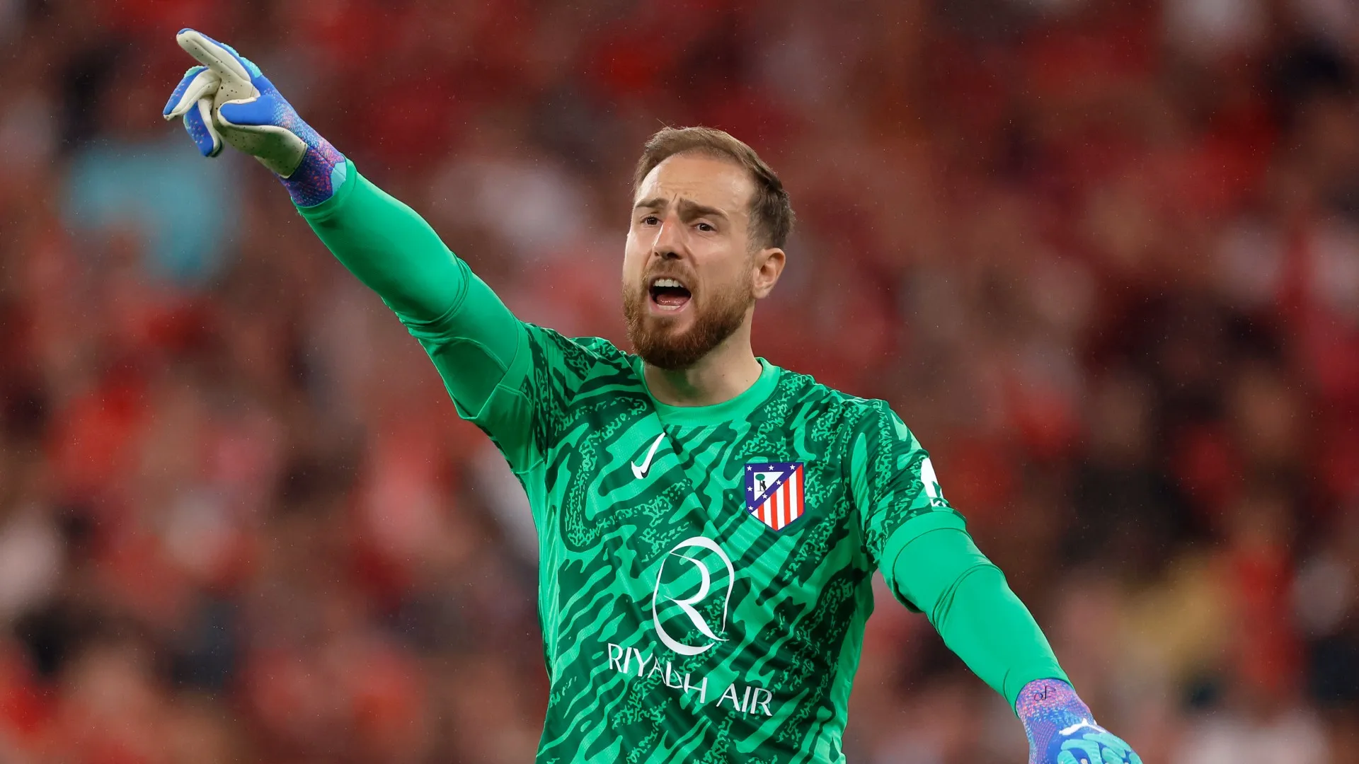 oblak_2iuawsrnt60e102o2e7bowdr5.jpg