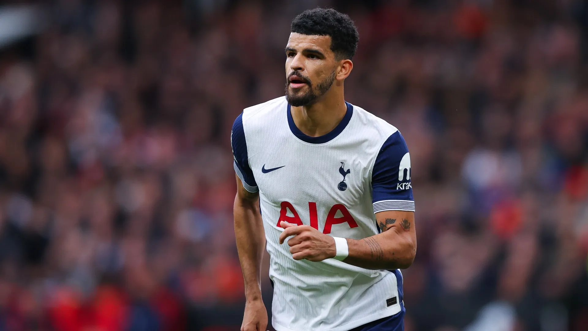 solanke_40hijg13rqj1ce2b3y379pwd.jpg
