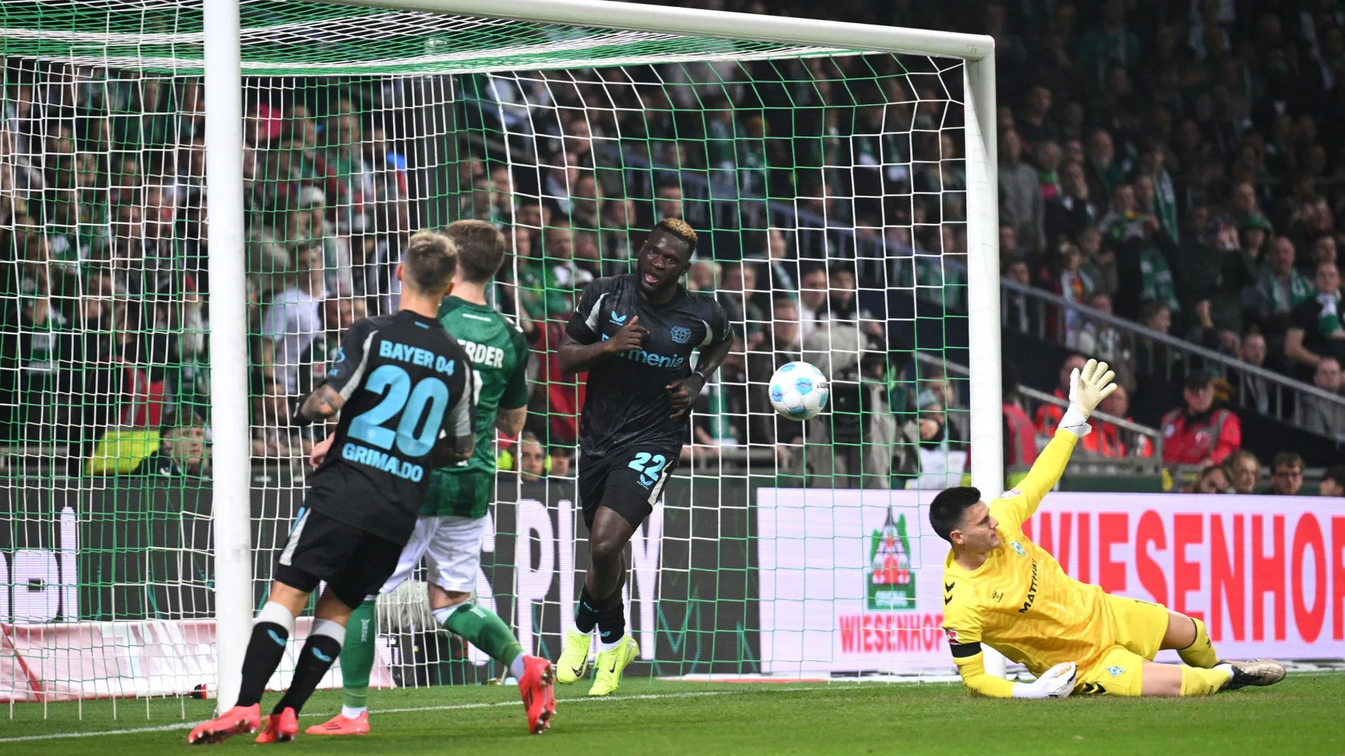 victor-boniface-celebrates-scoring-bayer-leverkusens-opener_1xe0wft6321j710828kn3wgzdx.jpg