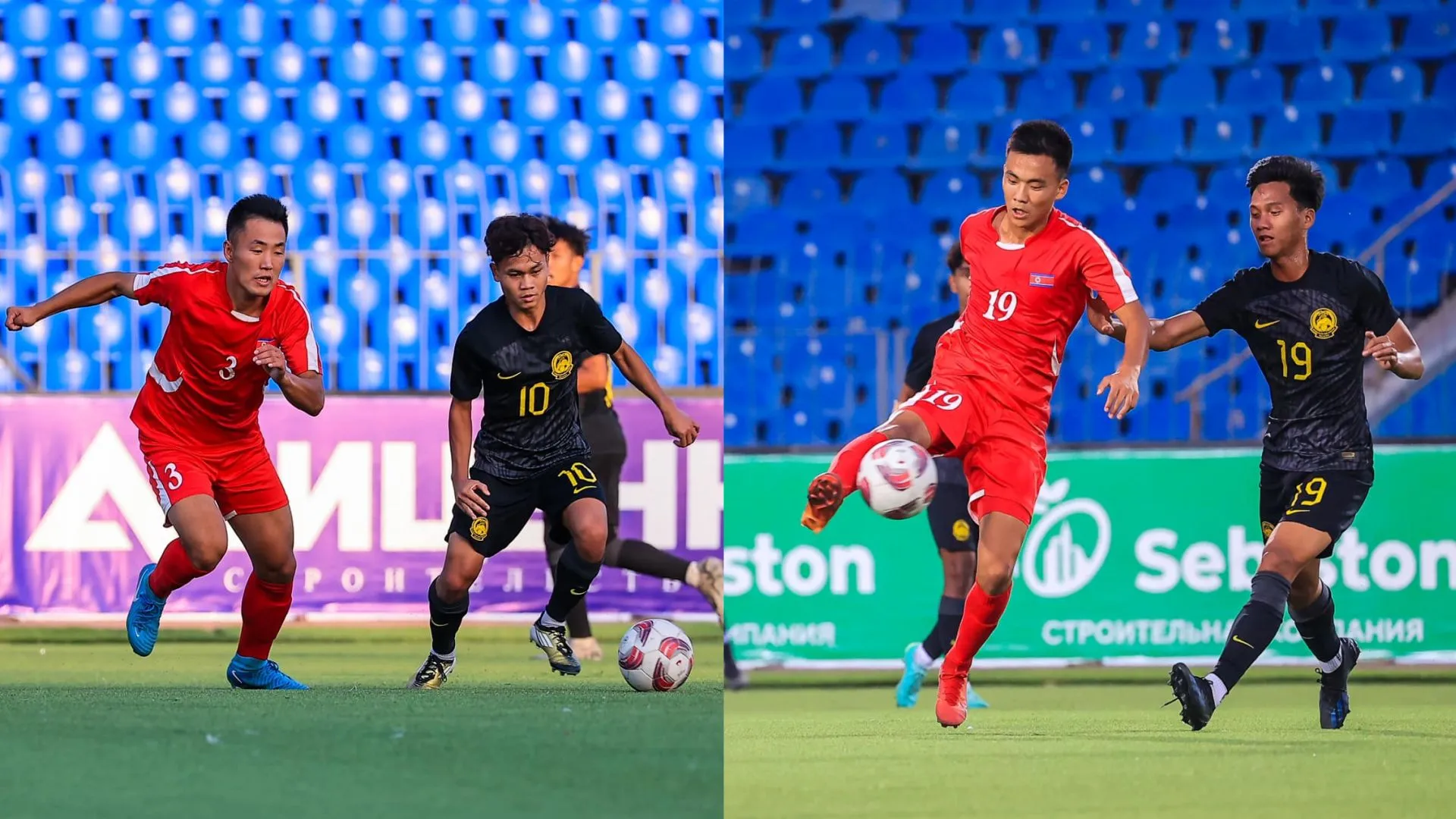 harimau-muda.jpg