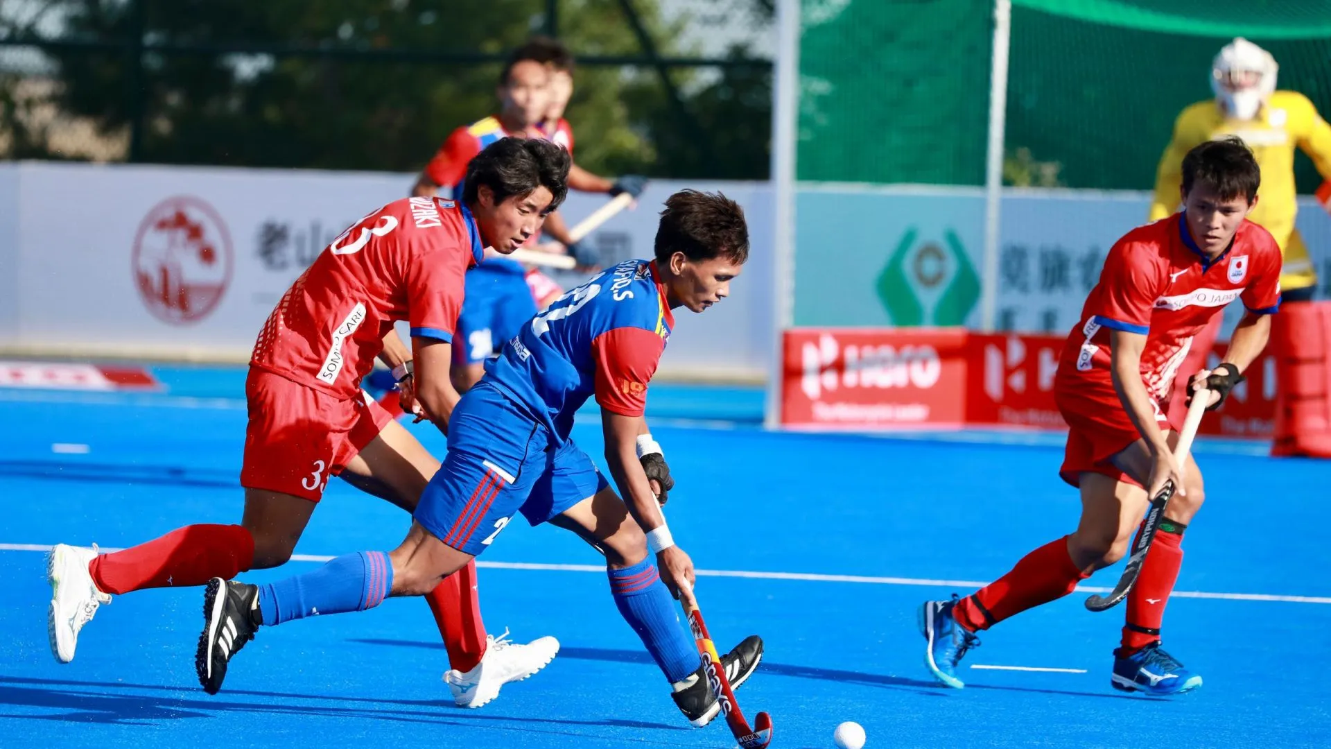 hoki-vs-japan.jpg