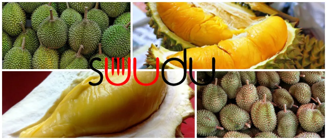 duriancantikwithlogo.jpg