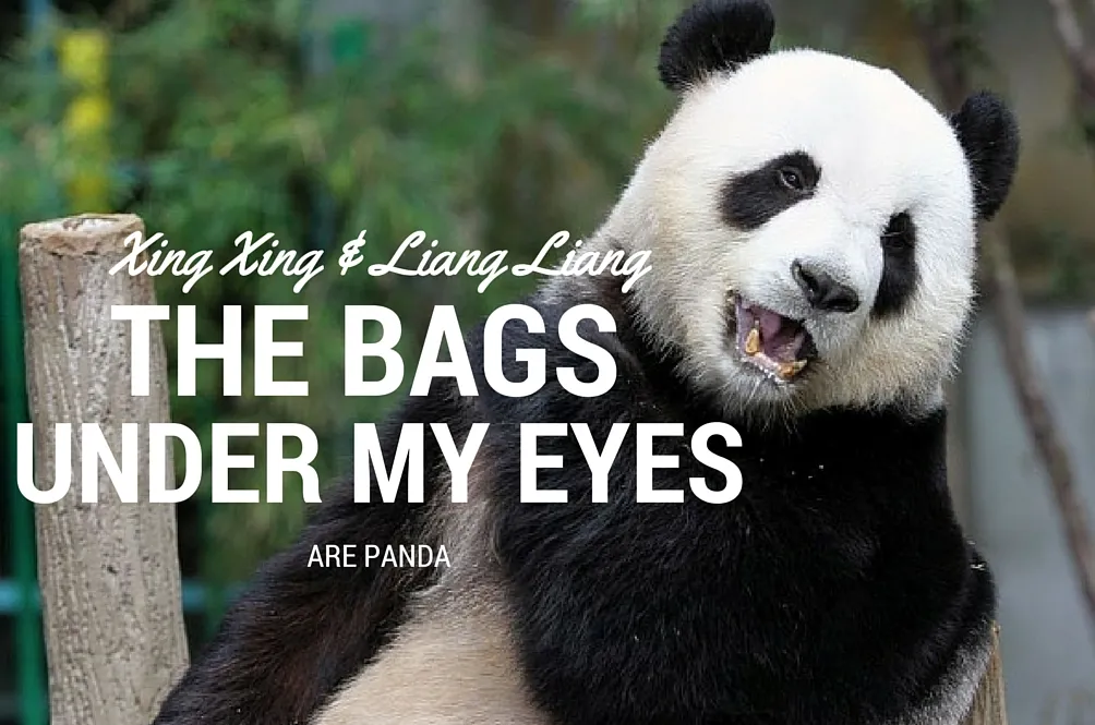 panda-banner.jpg