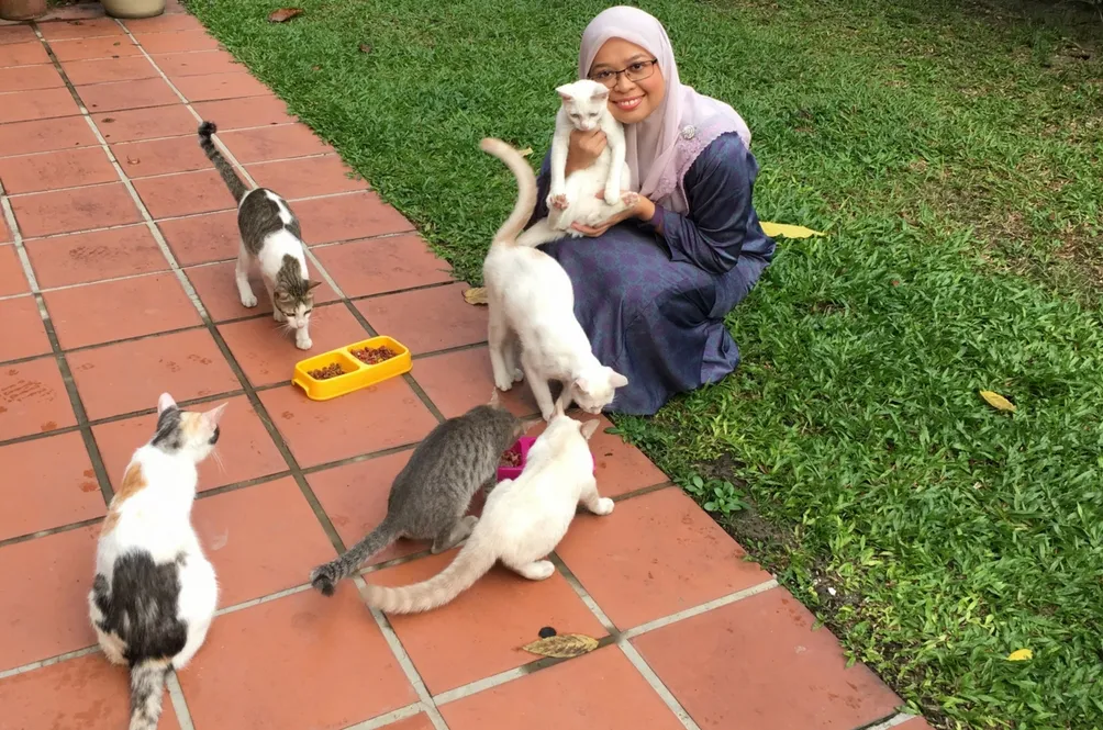 kucing.jpg