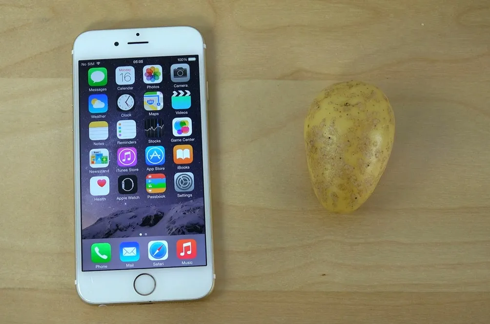 potato-banner-(1).jpg
