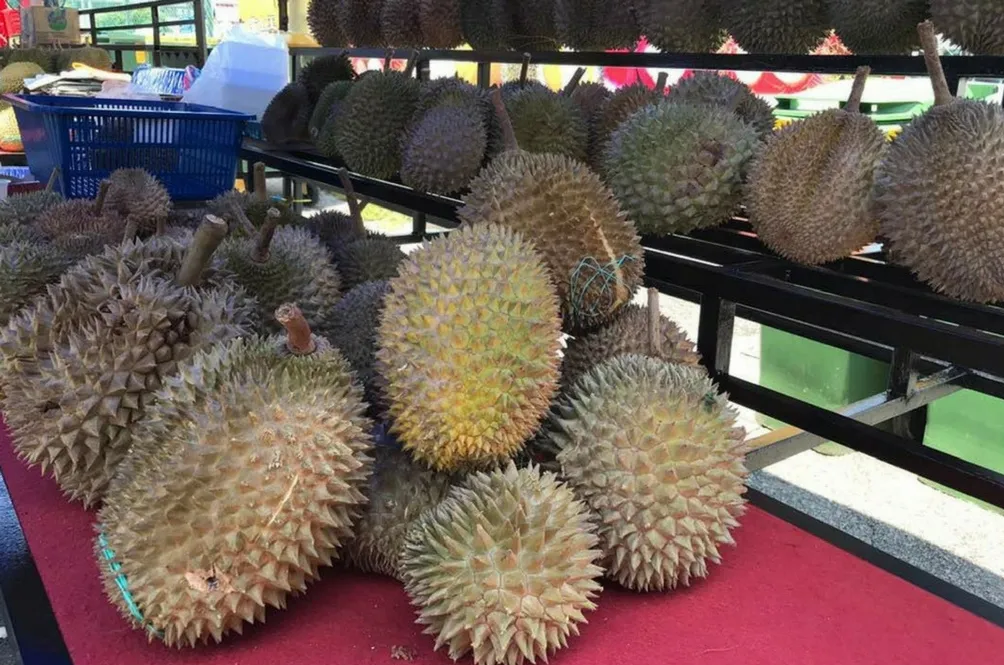 durian2-(1).jpg