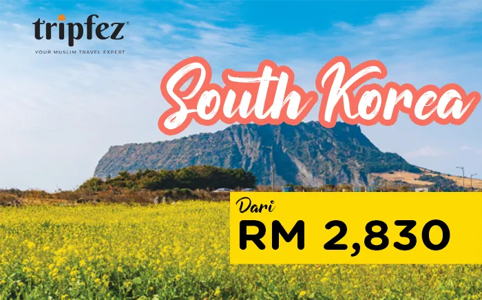 5d4n-amazing-jeju-muslim-tour-(private-tour).png