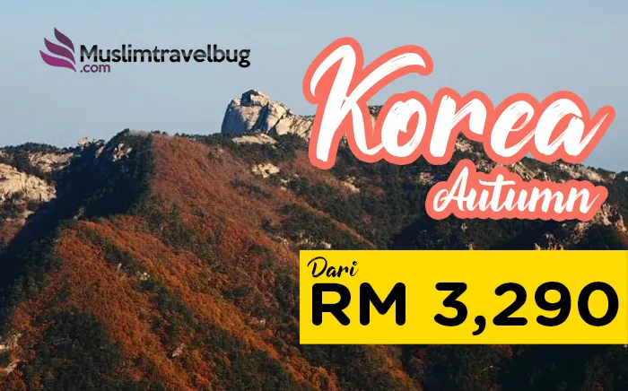 5d4n-korea-autumn-in-my-heart-2019.png