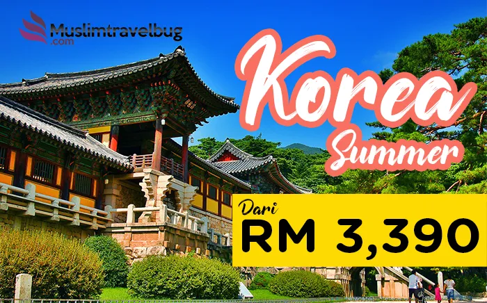 5d4n-korea-best-summer-2020.png
