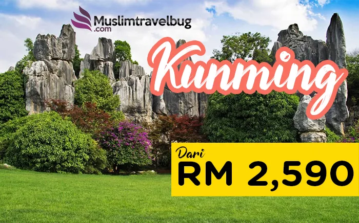 5d4n-kunming-magical-view-2019_2020.png