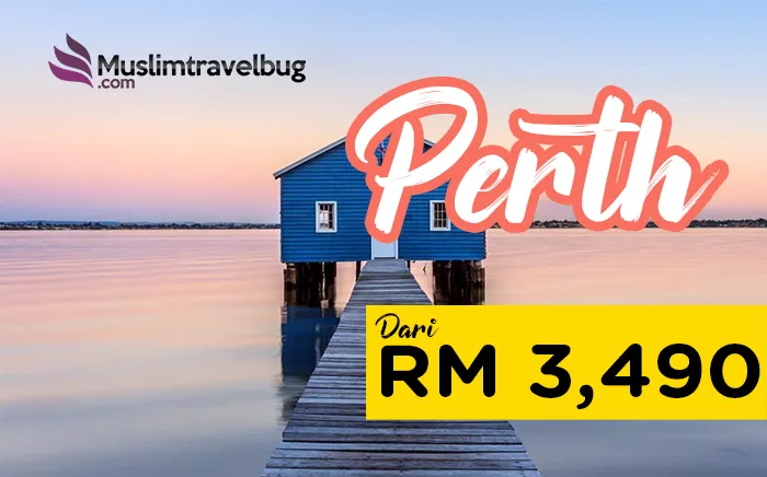 5d4n-perth-and-kangaroo-2020.png