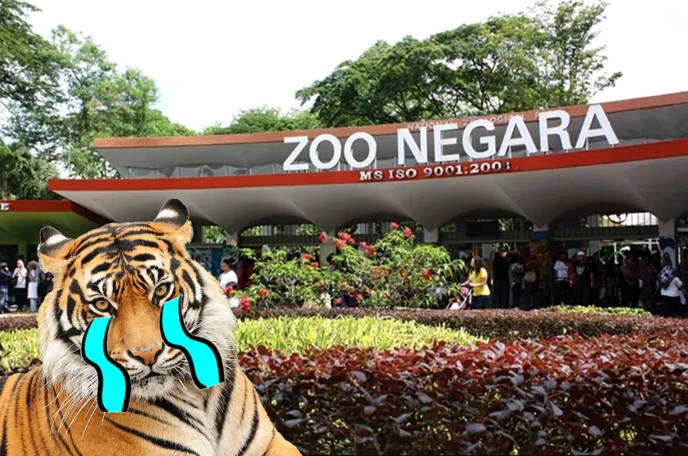 ju.jpg