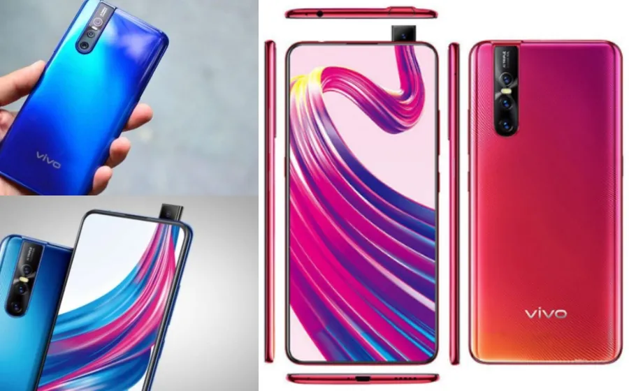 vivo_1.jpg