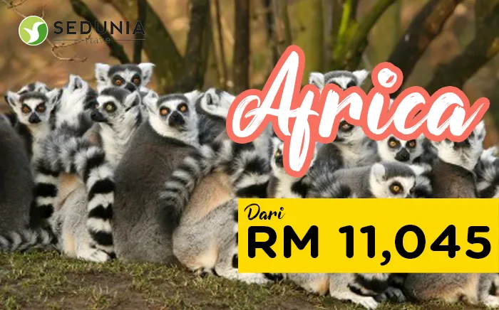 african-safari-victoria-fall.png