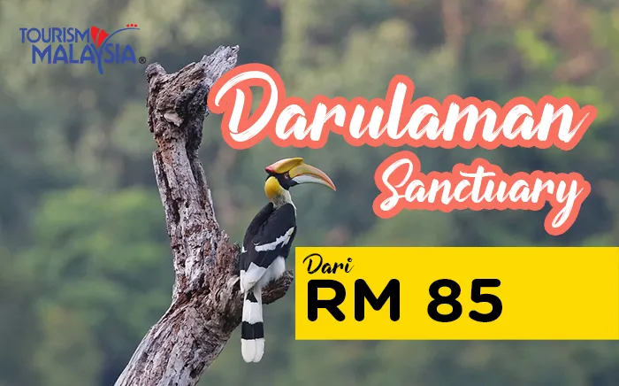 kedah-bdb-2.jpg
