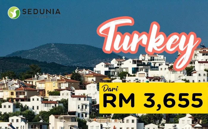 magnificent-turkey.png