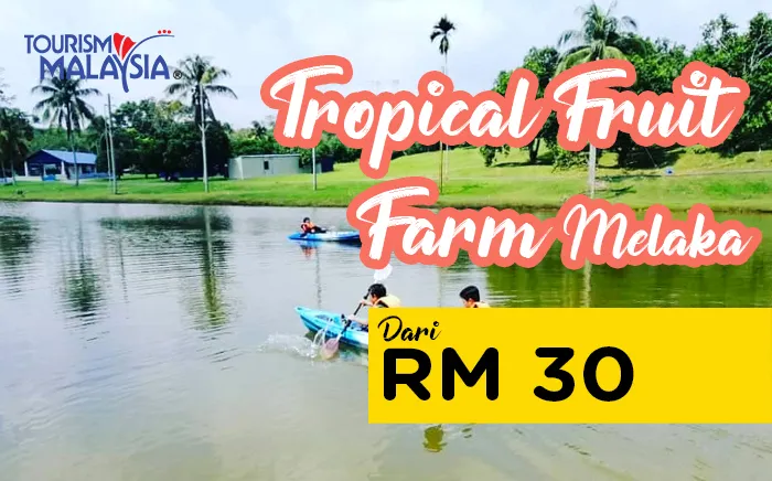 melaka-tropical-fruit-farm.jpg