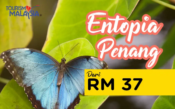 miescapade-5-entopia-penang.jpg