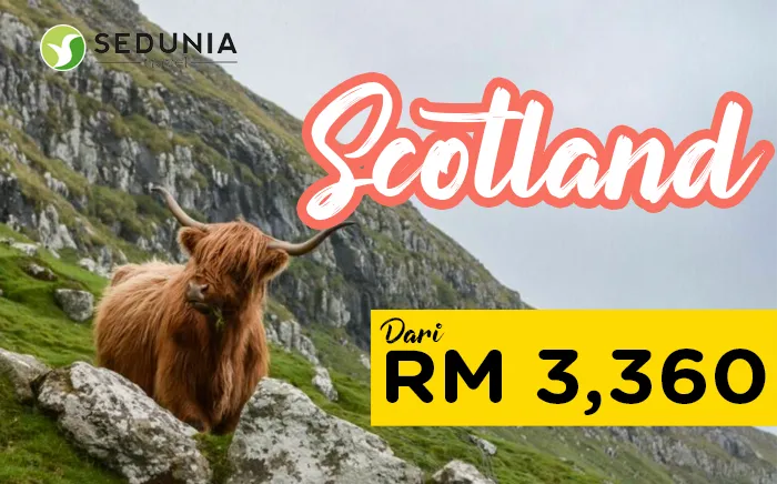 scottish-escape.png