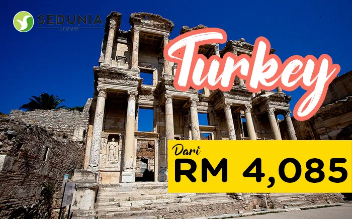 turkey-wander.png
