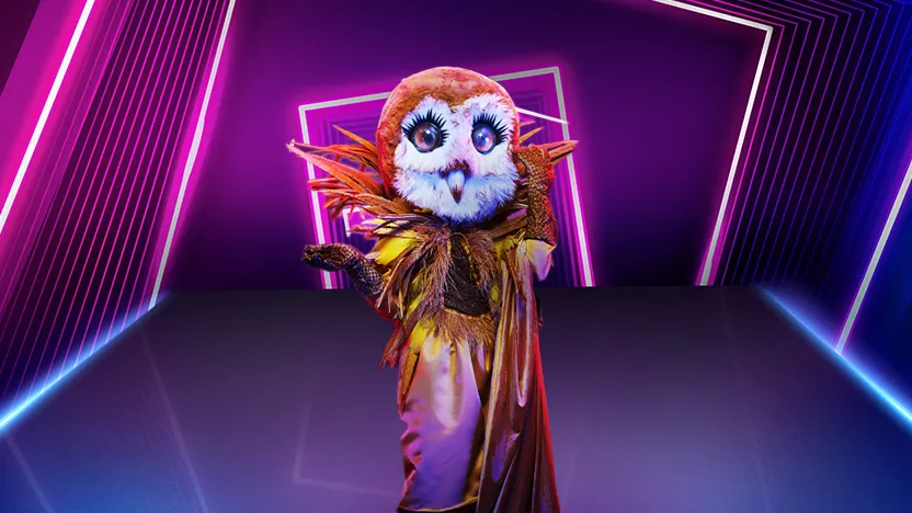 burung-hantu.png