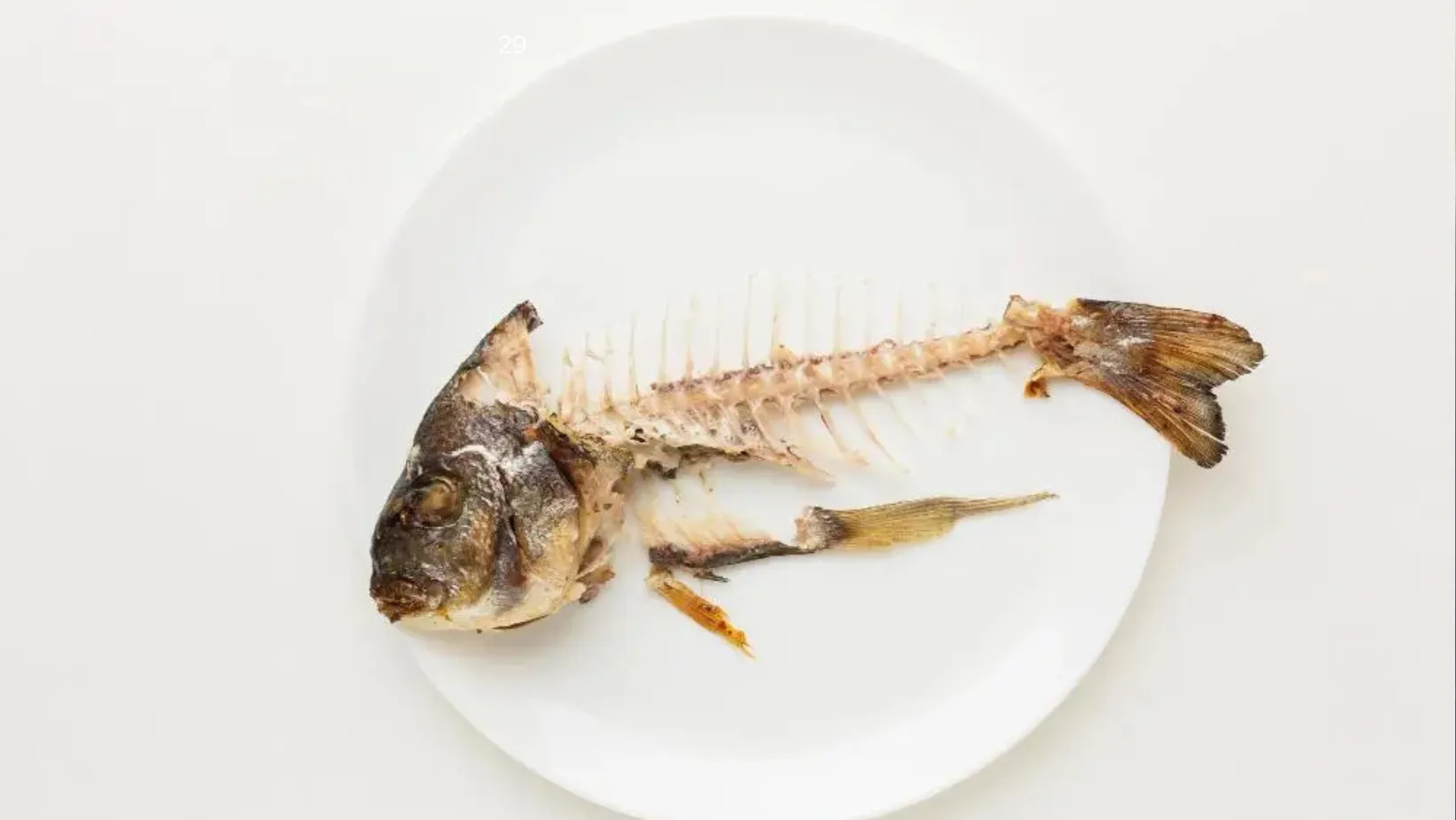 astrogempak_ikan_1.png