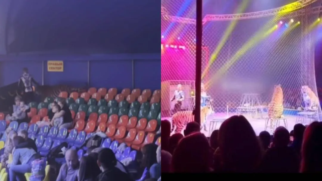 WhatsApp Image 2026 04 21 at 2.45.38 PM